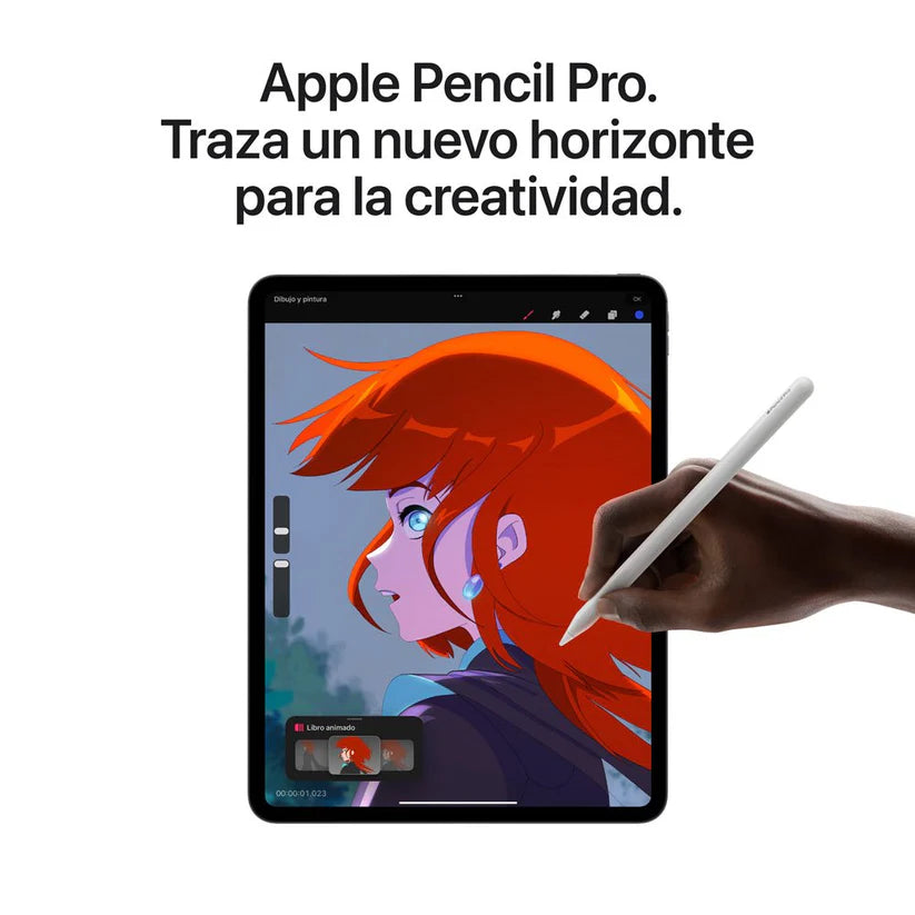 IPad Pro 13"