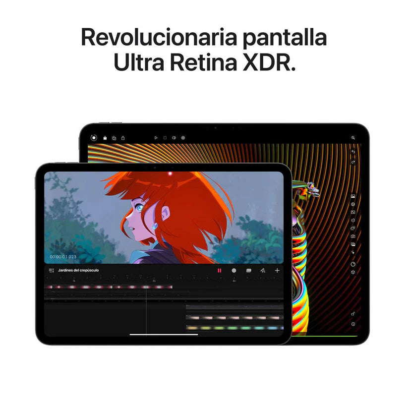 IPad Pro 13"