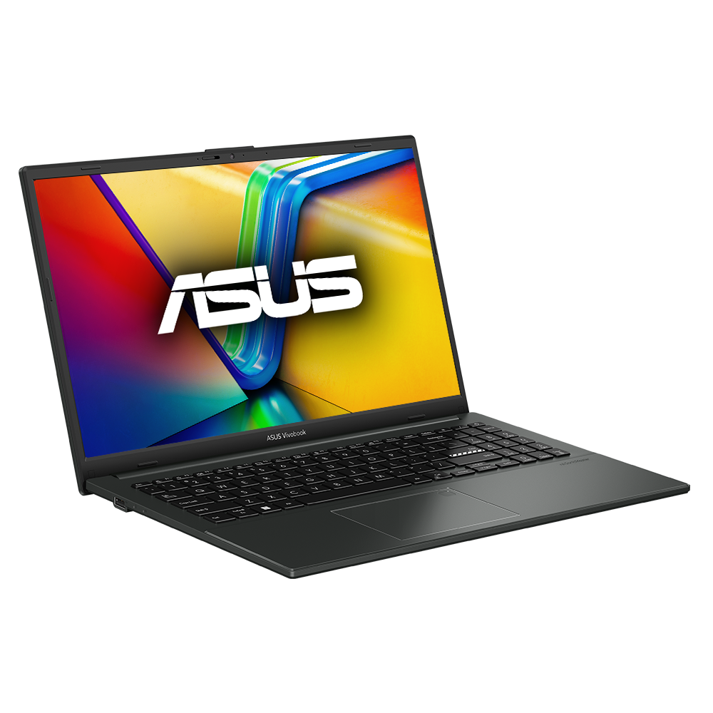 Asus Vivobook go