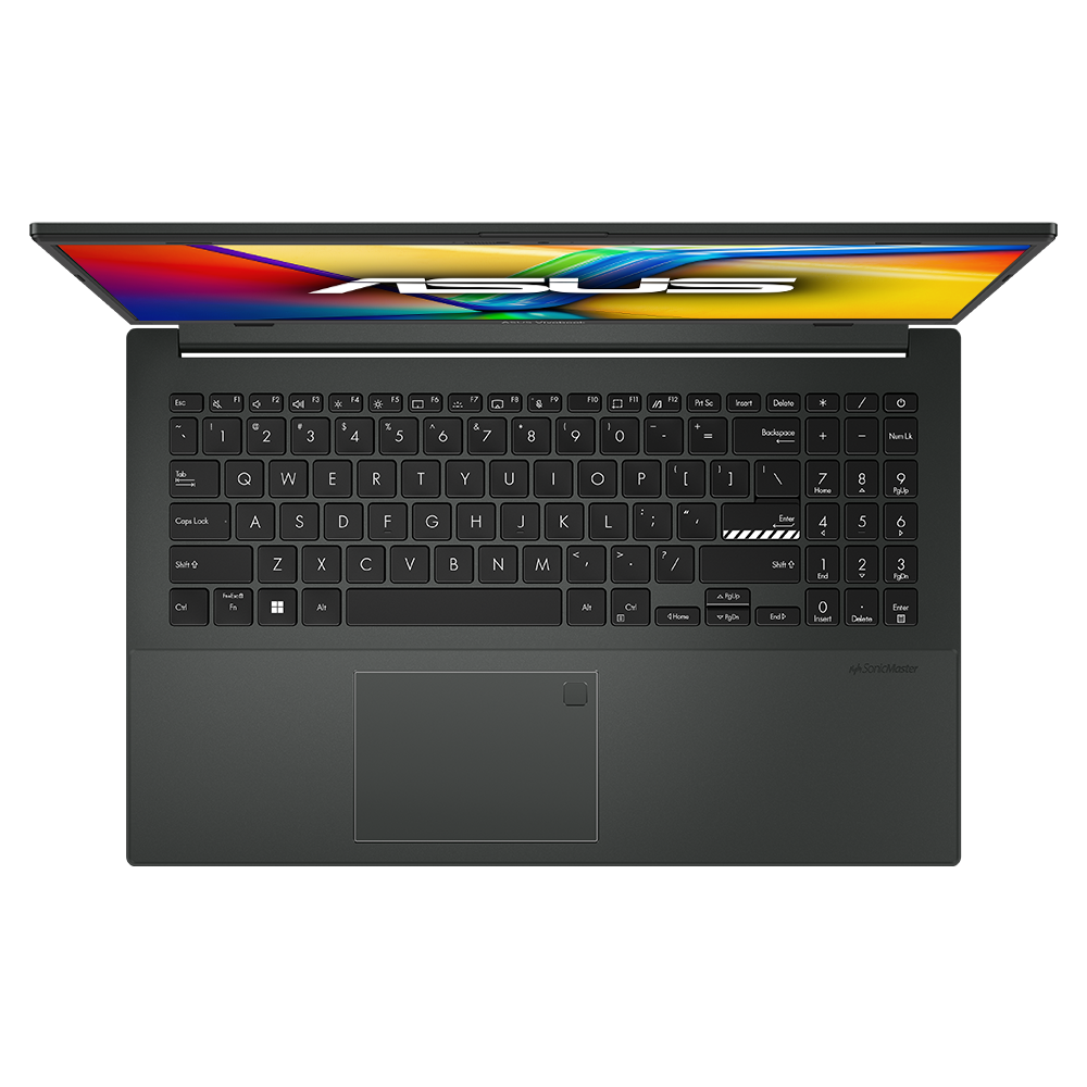 Asus Vivobook go