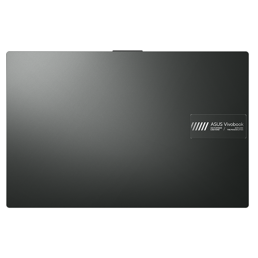 Asus Vivobook go