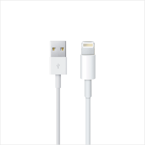 Cable de carga original iPhone USB C a Lightning